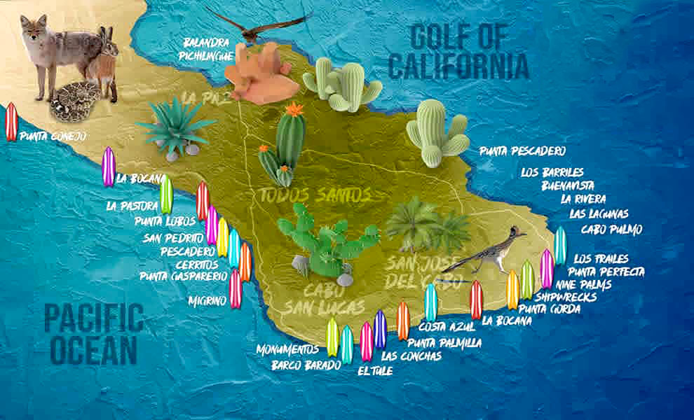 Surfing Beaches and Surf Breaks in Cabo San Lucas MAPs